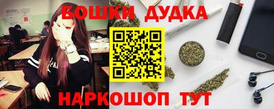 индика Будённовск