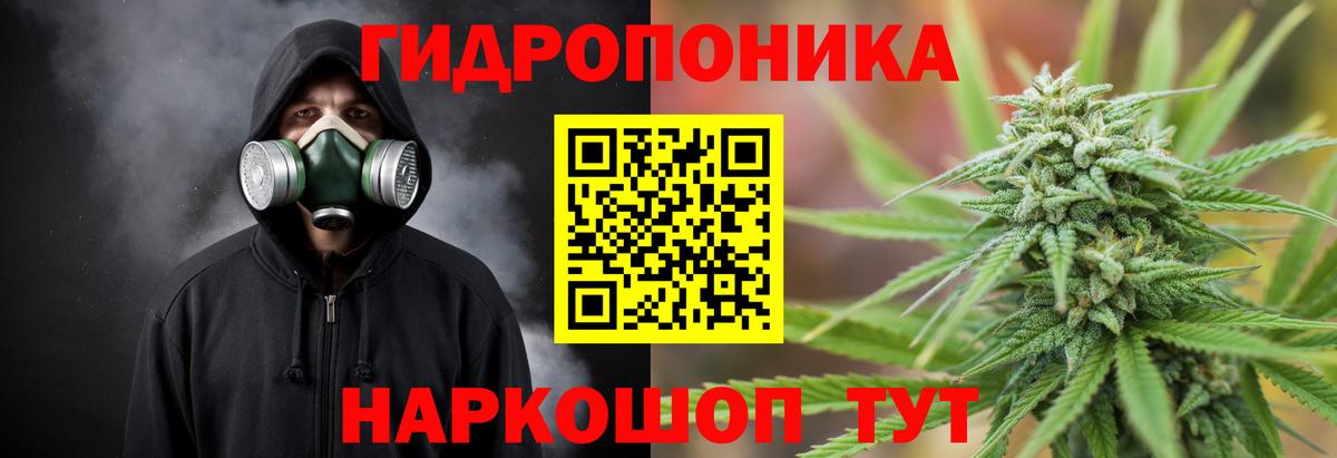 Бошки Шишки семена Ипатово